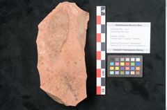 Foto (Objekt + Etikett) von Cassia phaseolites Unger (NHMW-GEO-2024-0188-7966)